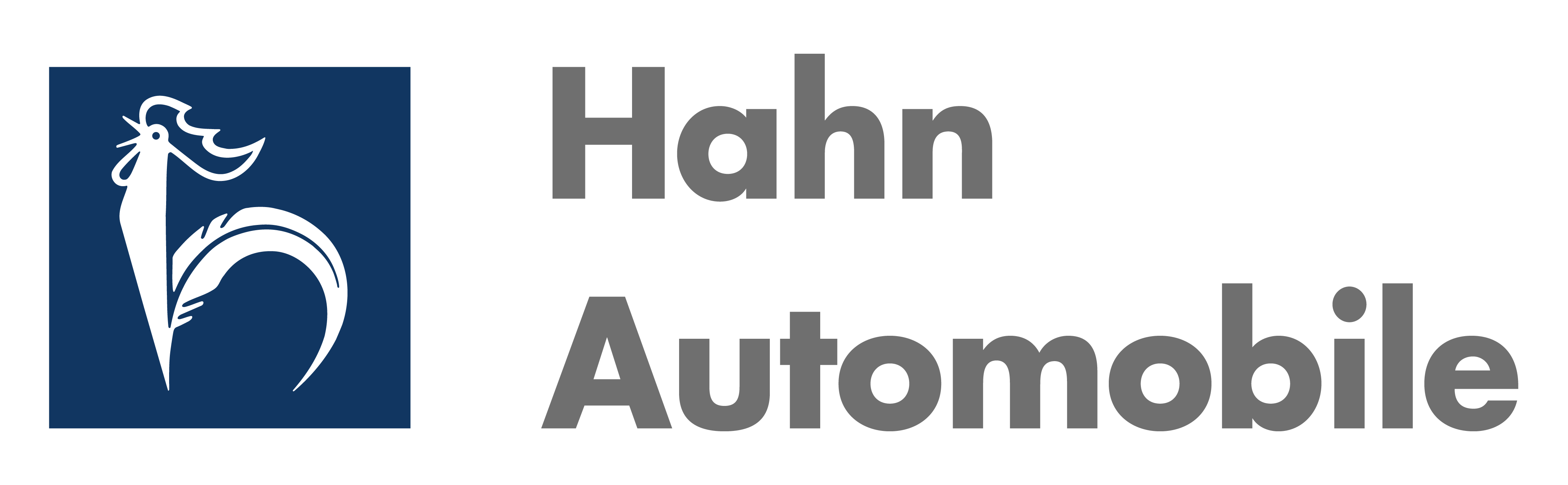 Hahn Automobile GmbH + Co. KG