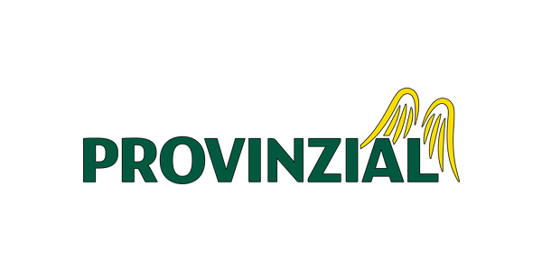 Provinzial Konzern