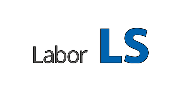 Labor LS SE & Co. KG