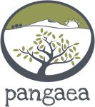 Pangaea