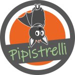 Pipistrelli
