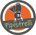 pipistrelli