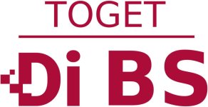 TOGET DiBS