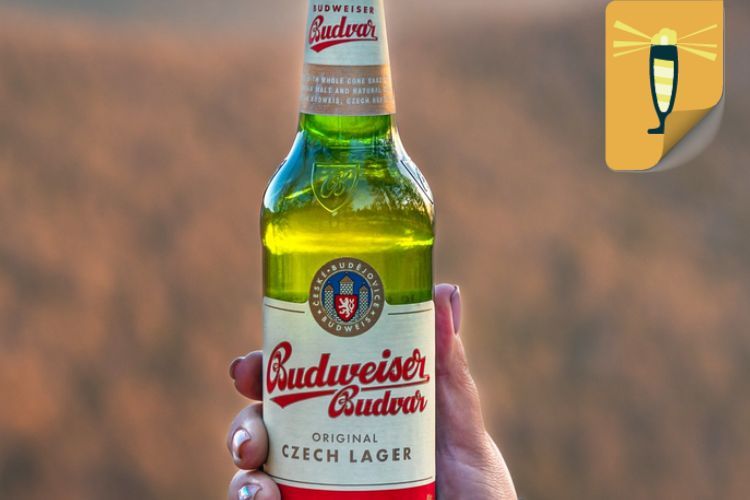 Budweiser Budvar