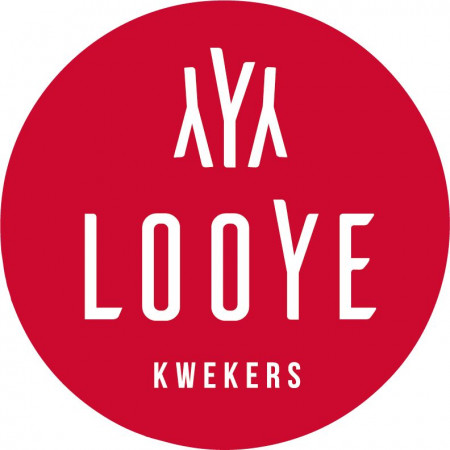 Looye Kwekers