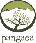 Pangaea