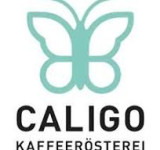 Caligo