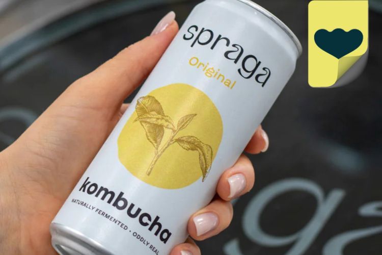 SPRAGA KOMBUCHA